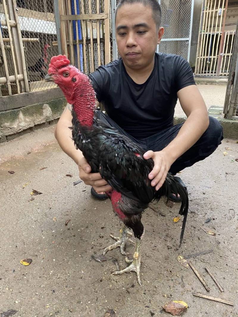 Chế độ dinh dưỡng giúp phát triển cơ bắp và thể lực