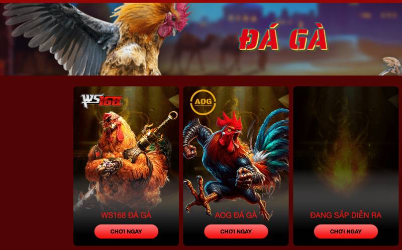 Hello88 Pazbrd5 - link đăng ký hello 88 đăng nhập hello88.com 11 Đá gà online