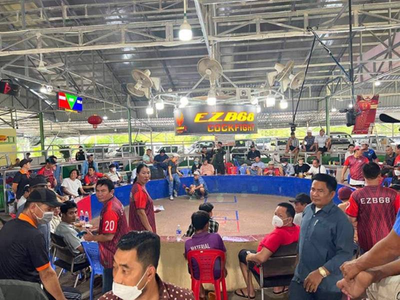 Đấu trường đá gà Khmer nổi tiếng