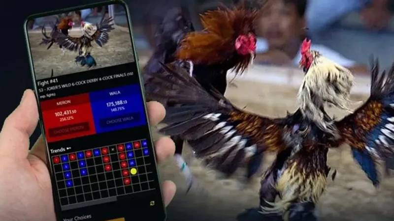 Đọc kèo và phân tích tỷ lệ cược