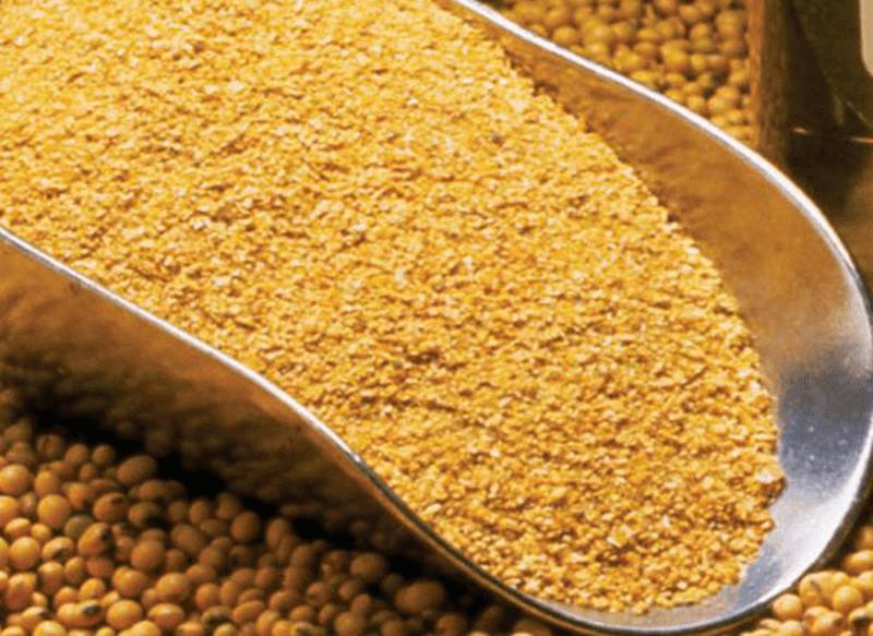 Cách Nuôi Gà Đá Chân Mạnh, Rèn Luyện Chiến Kê Bất Bại 3 Thức ăn cần thiết để gà đá có lực mạnh