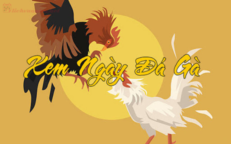 Xem Ngày Đá Gà – Bí Quyết Chọn Ngày Đẹp Cho Chiến Kê 2 Xem ngày đá gà là gì?